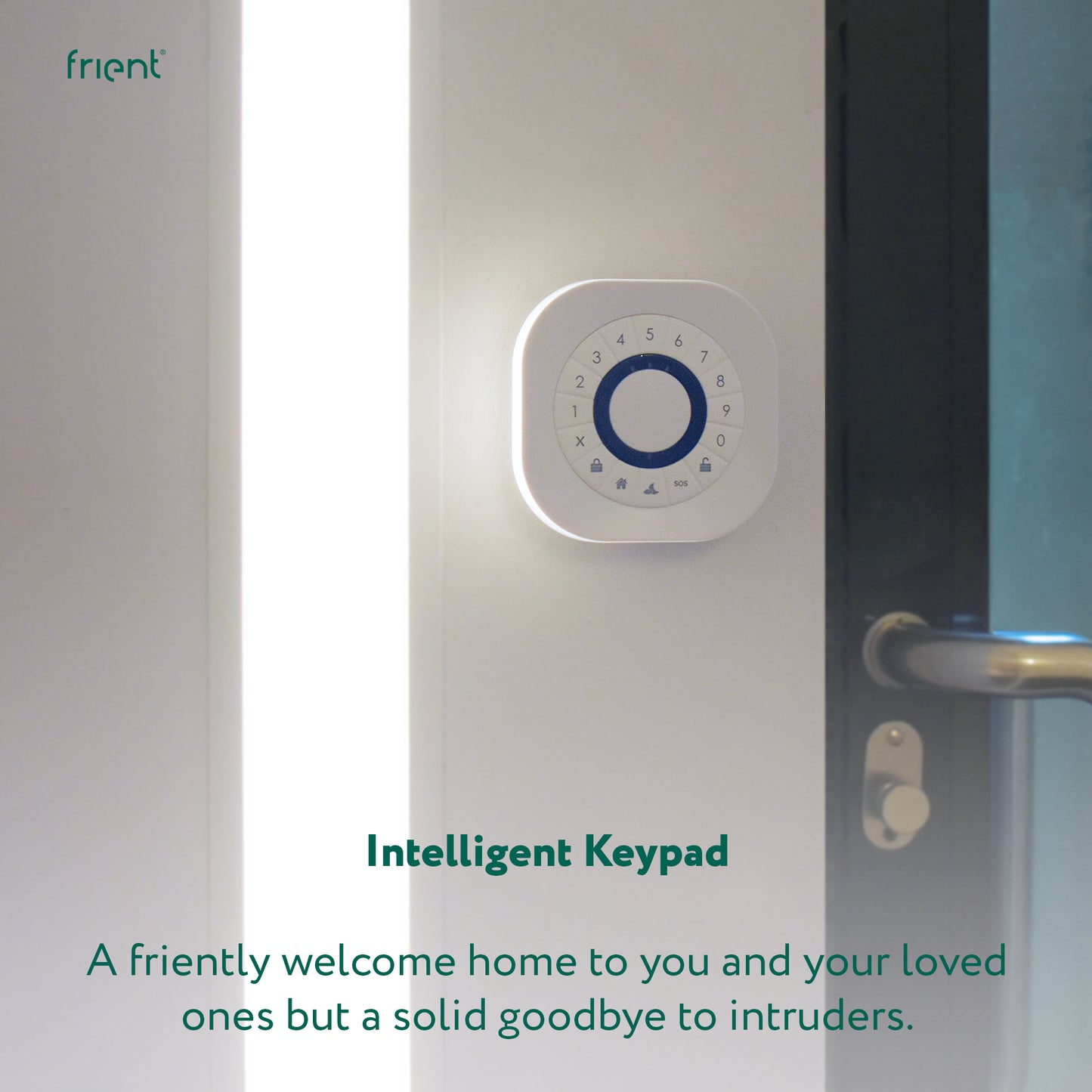 frient Intelligent Keypad Zigbee RFID & PIN Access Control Keypad