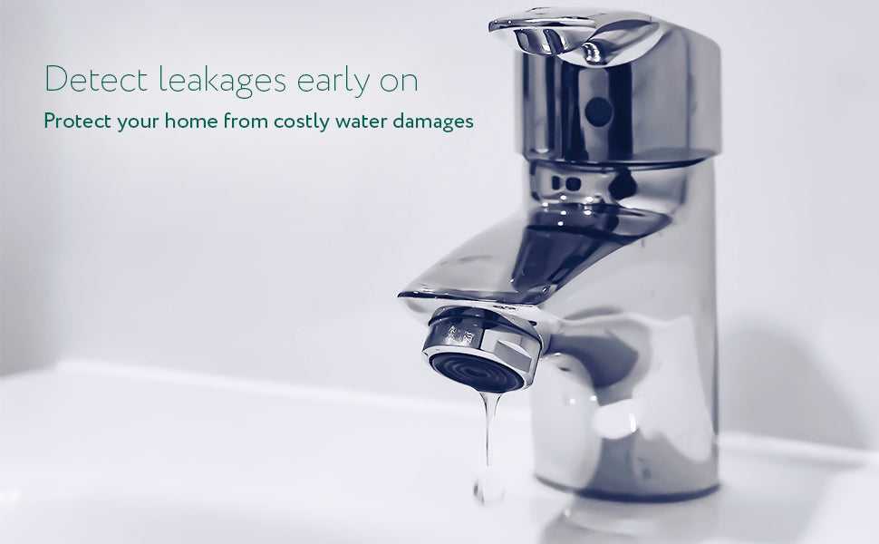 frient Water Leak Detector Zigbee Smart Flood & Leak Sensor